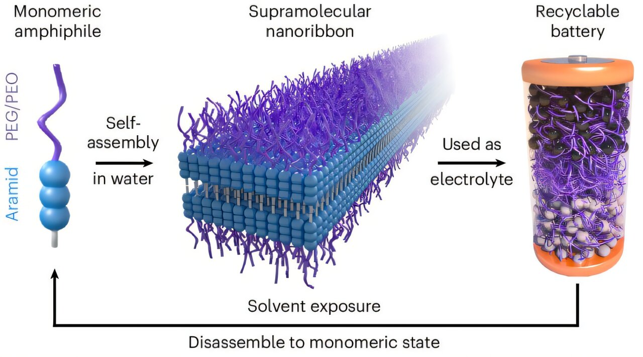 8月下期〡NVIDIA發(fā)布DRIVE AGX Thor開(kāi)發(fā)套件;黑莓QNX推出最新一代車載操作系統(tǒng);中國(guó)研究人員推出新型電解質(zhì)技術(shù) 【全球汽車新技術(shù)觀察】8月下期〡NVIDIA發(fā)布DRIVE AGX Thor開(kāi)發(fā)套件;黑莓QNX推出最新一代車載操作系統(tǒng);中國(guó)研究人員推出新型電解質(zhì)技術(shù)