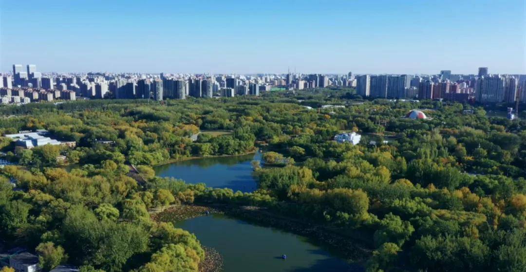 實景呈現!東四環“收官”藏品,重新定義北京稀缺資產