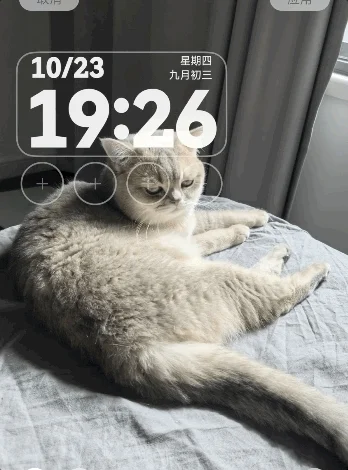 到底是誰在用鴻蒙 體驗完鴻蒙6我懂了 到底是誰在用鴻蒙 體驗完鴻蒙6我懂了